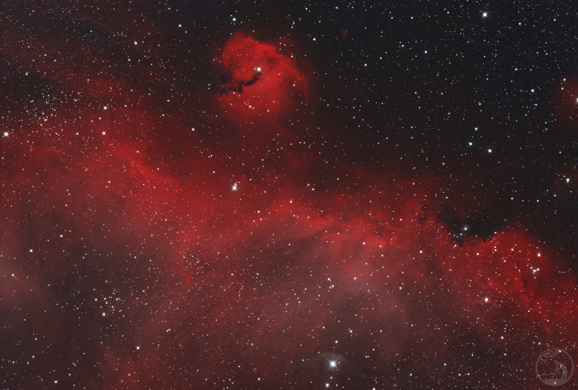 IC2177海鸥HOO