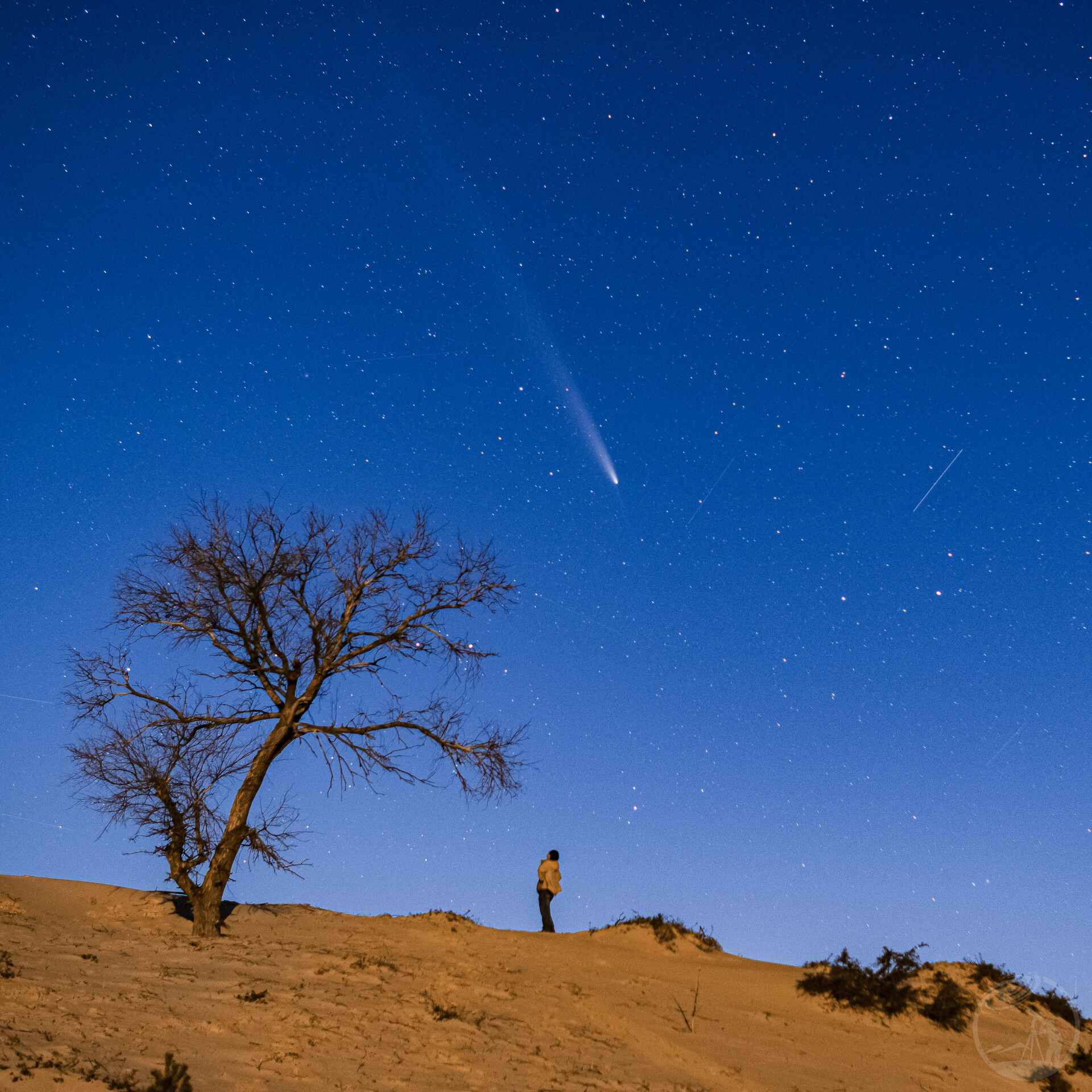 我与彗星