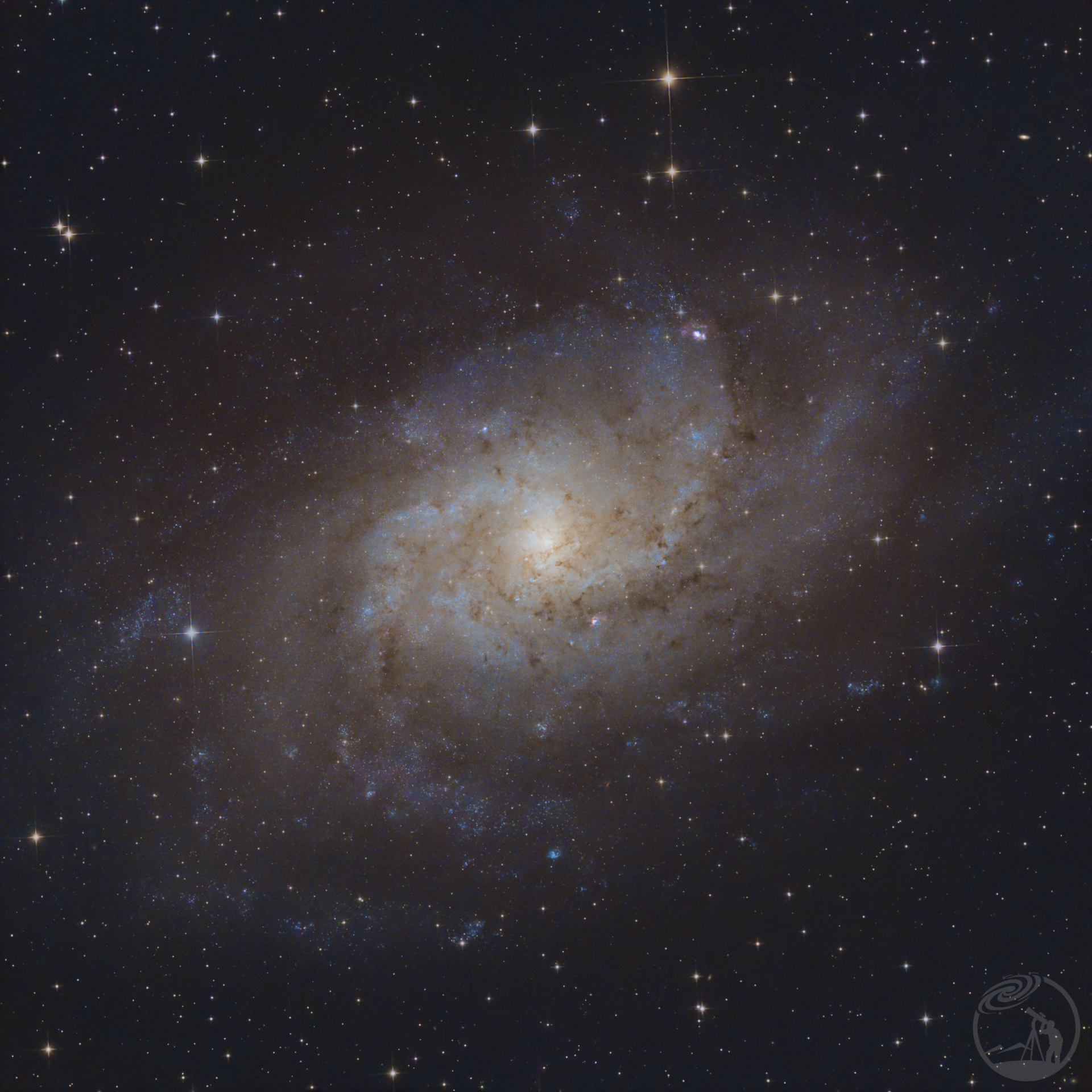 M33