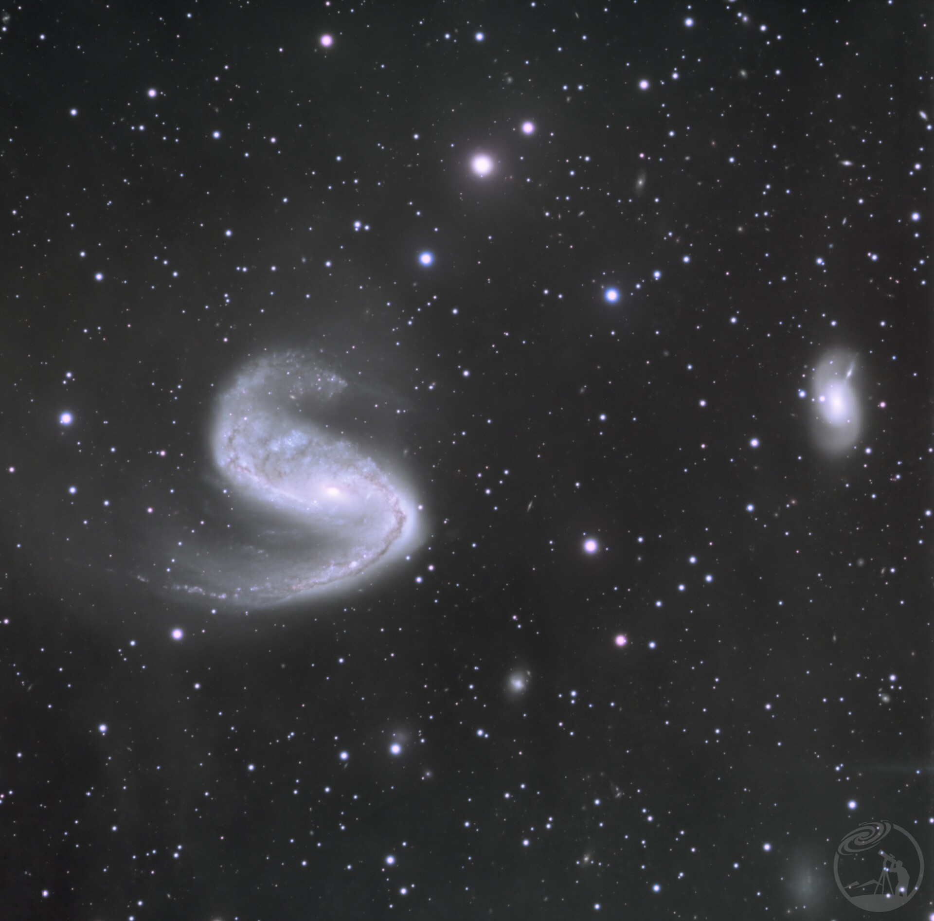 眼镜蛇星系、星系群