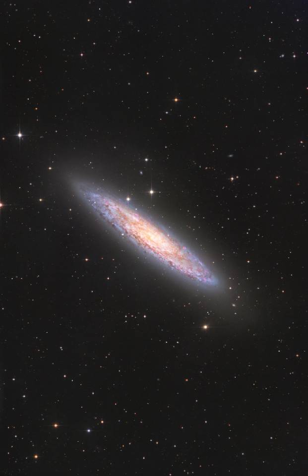 10寸老黑六套总150小时素材