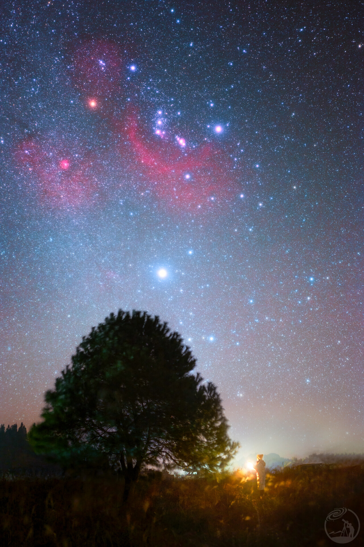 星启新岁