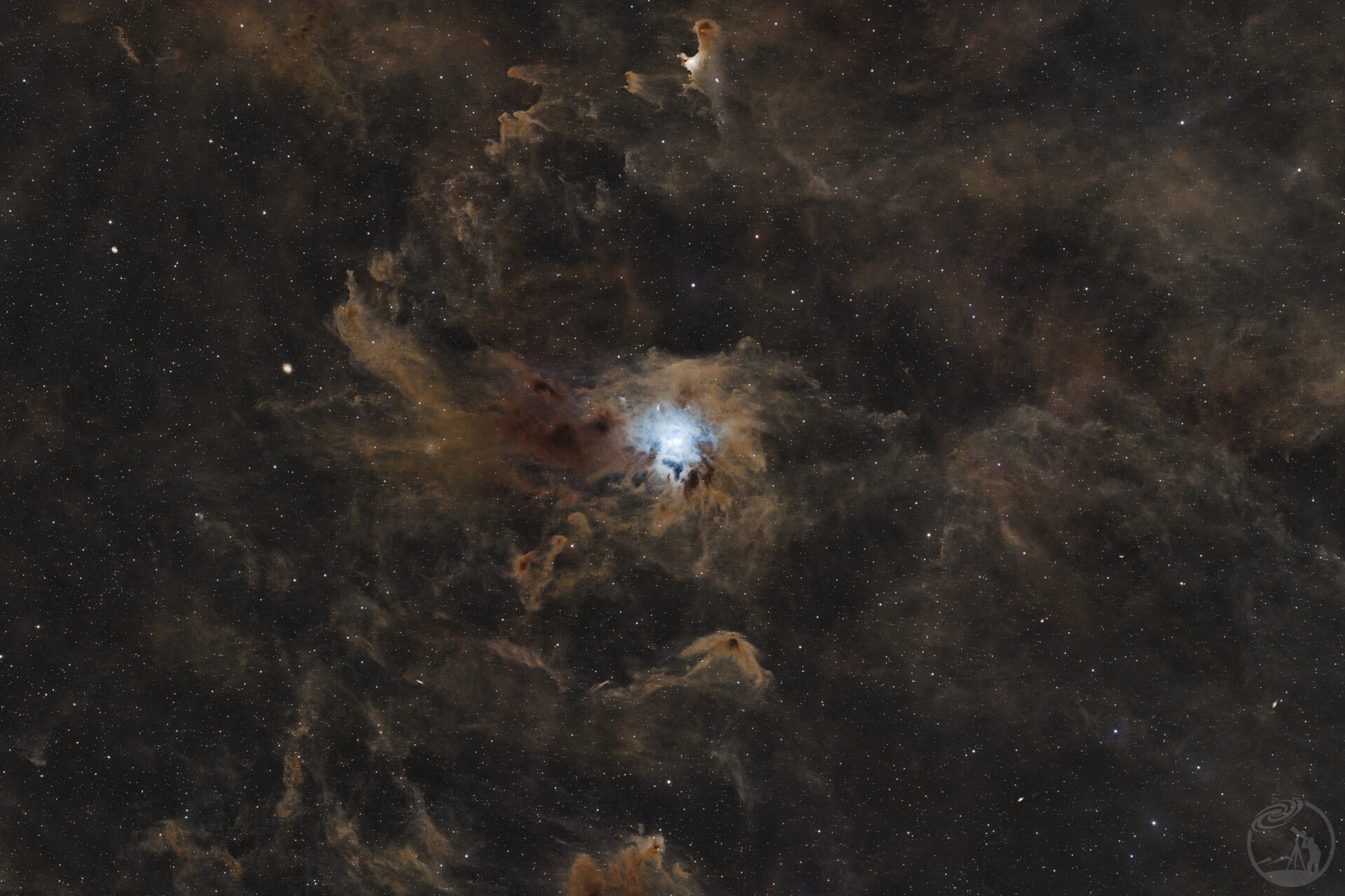 NGC7023鸢尾花星云