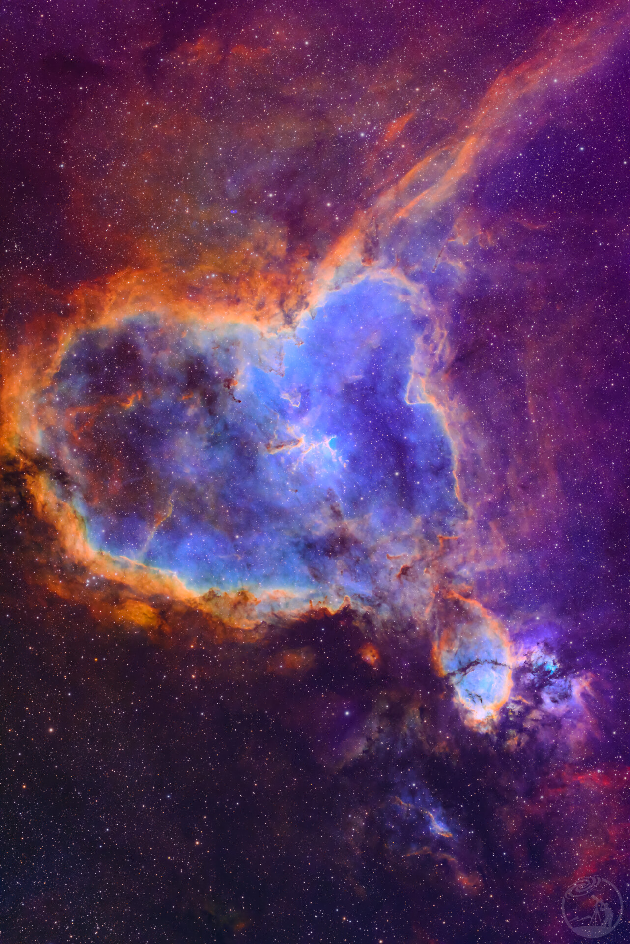 IC1805-SHO（重修）