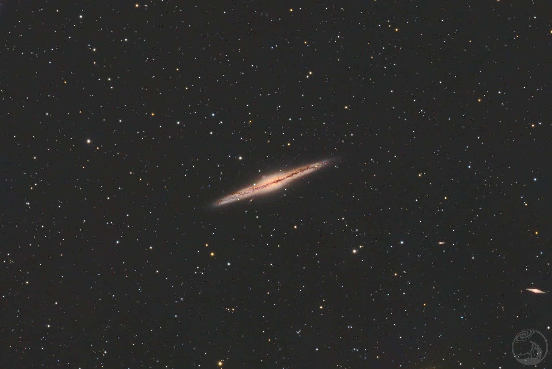 NGC891