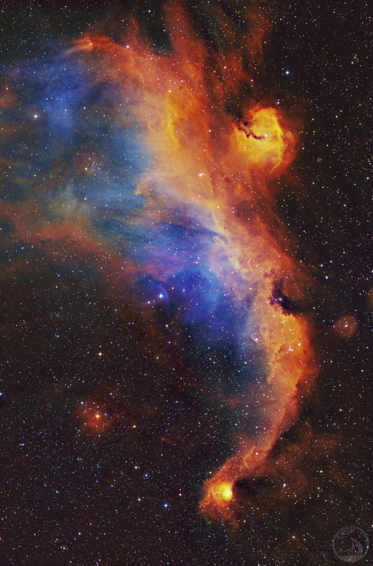 IC2177海鸥