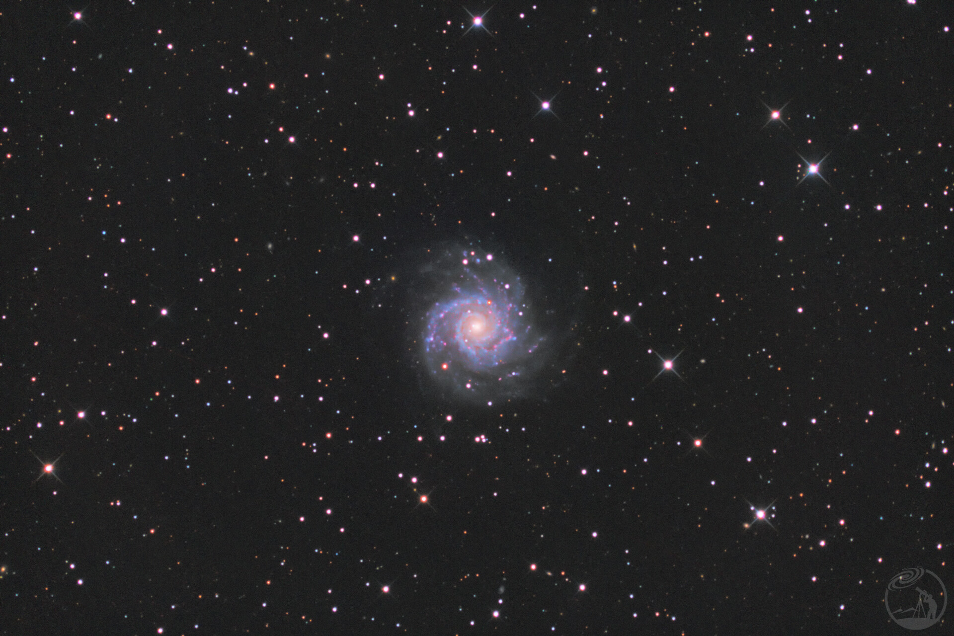 M74