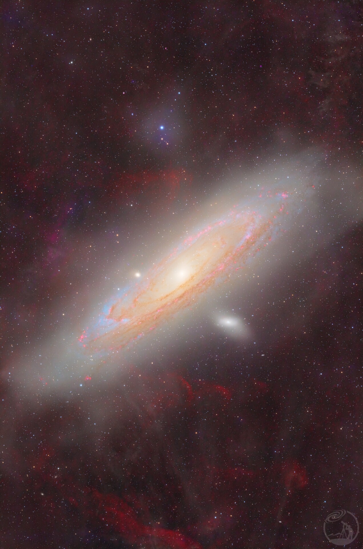 M31