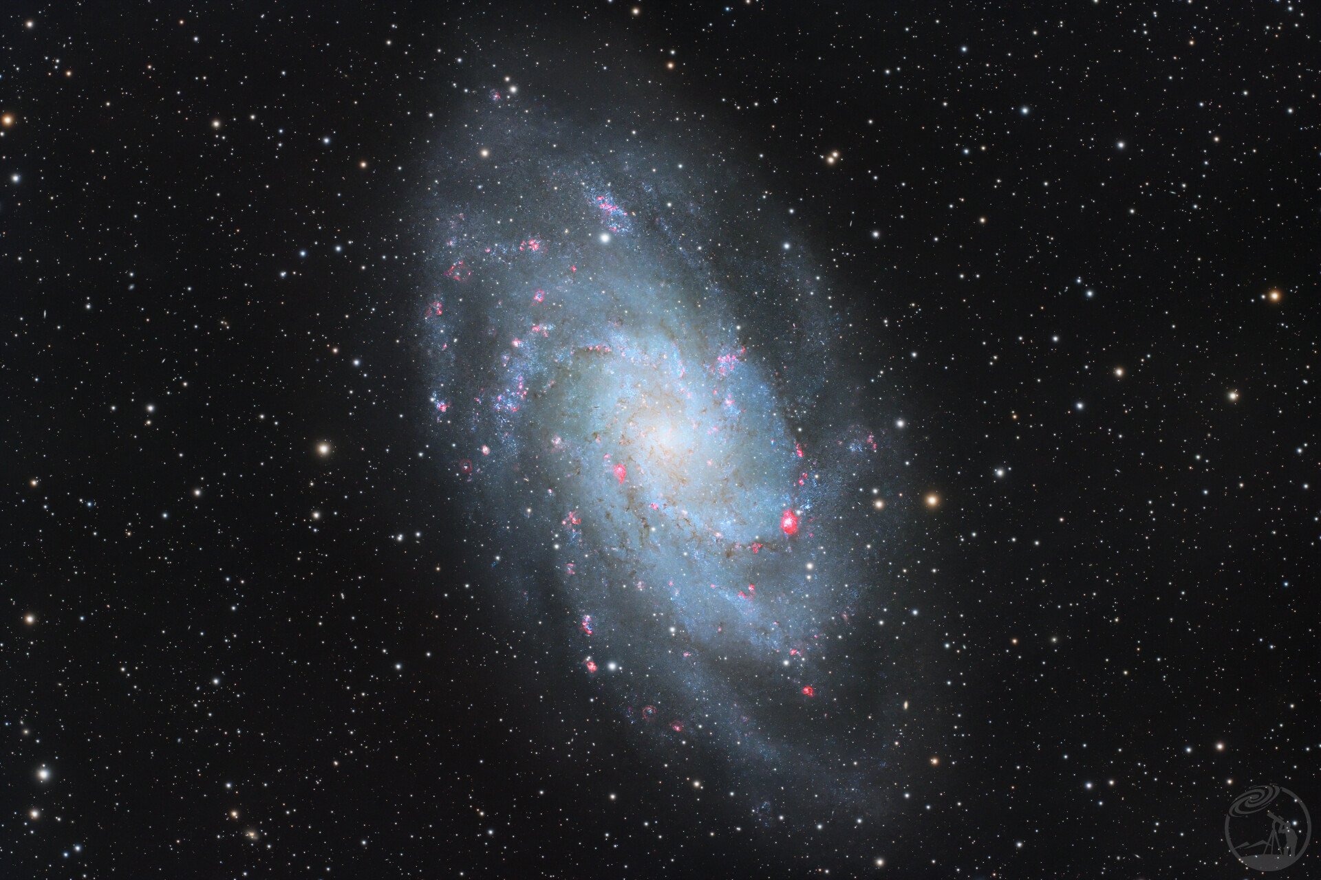 绽出朵朵红花的三角座星系