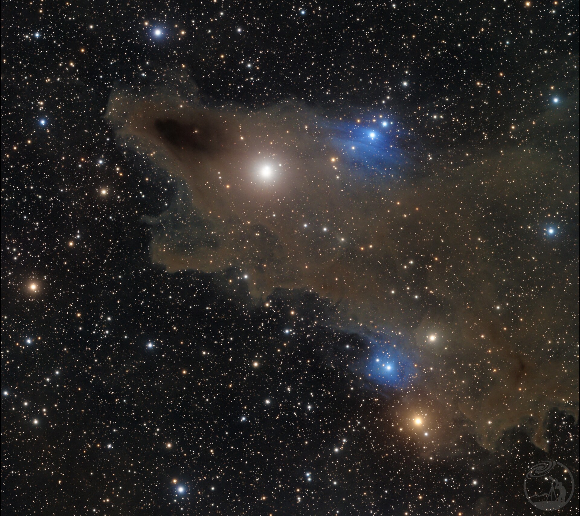 LDN1235 黑鲨星云