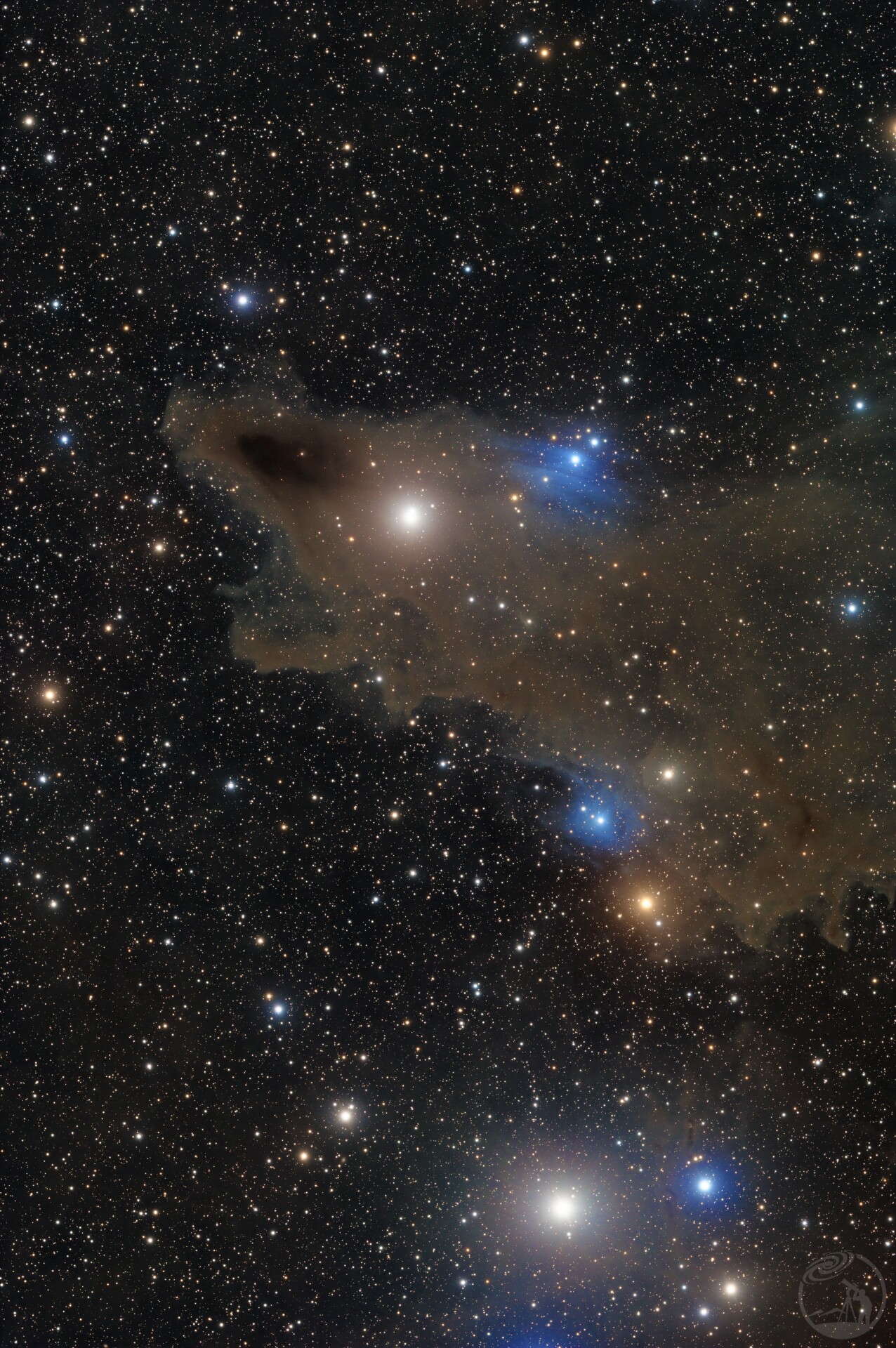 LDN1235 黑鲨星云