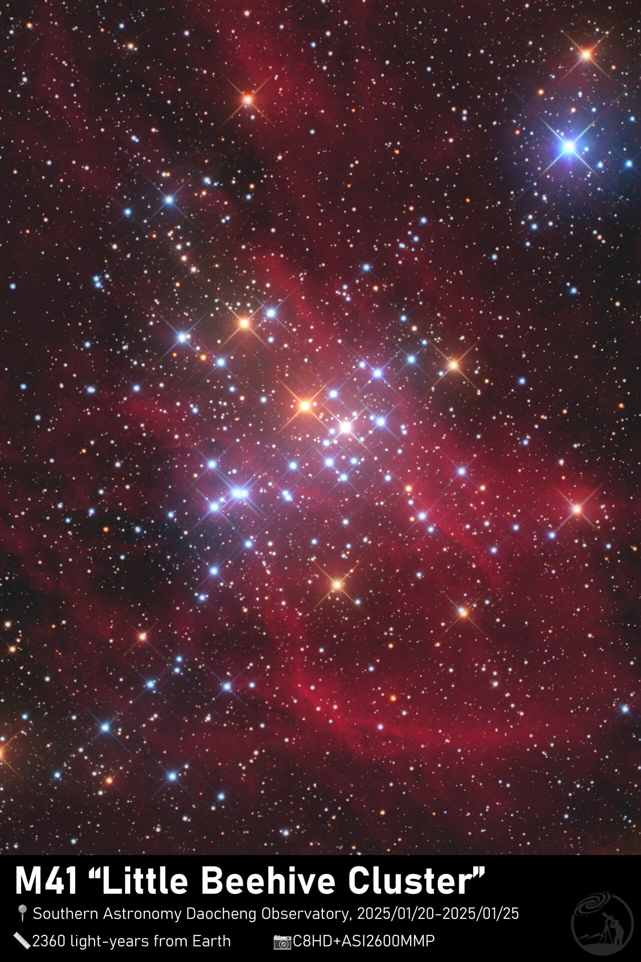 “Little Beehive Cluster”