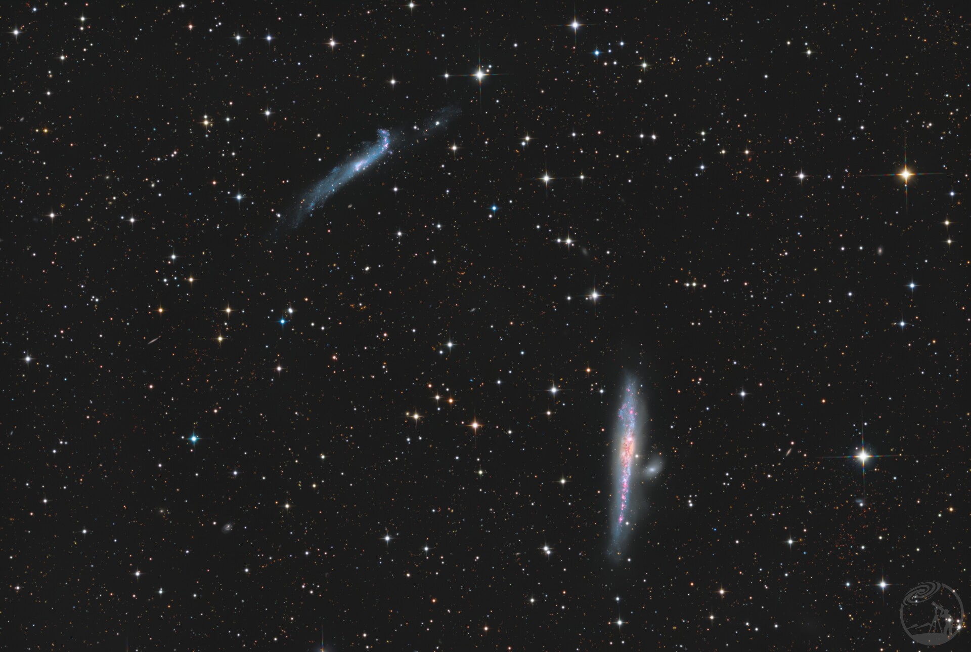 NGC 4631 & NGC 4656 鲸鱼与冰球棒