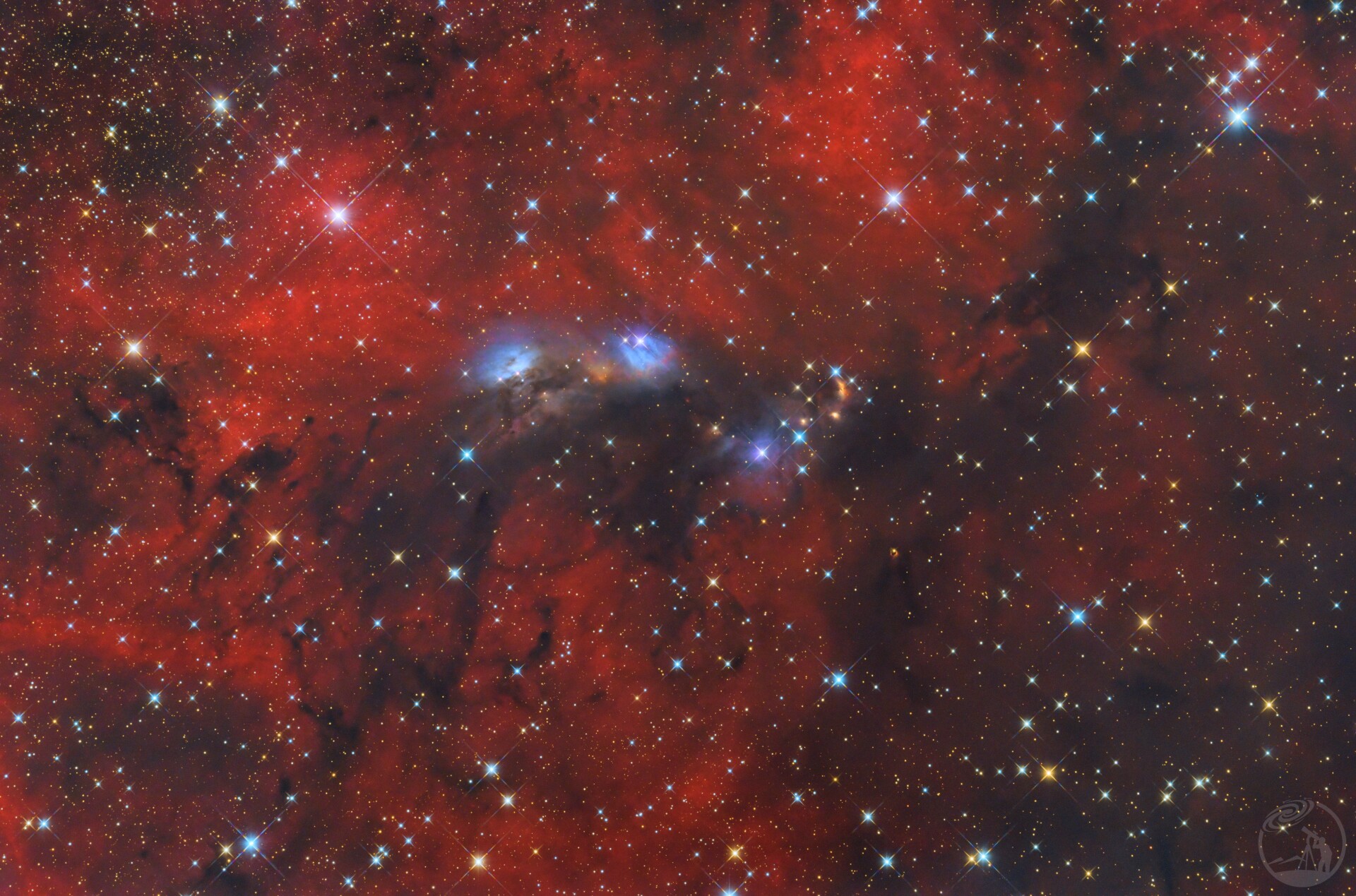 NGC6914/ 桑巴精灵