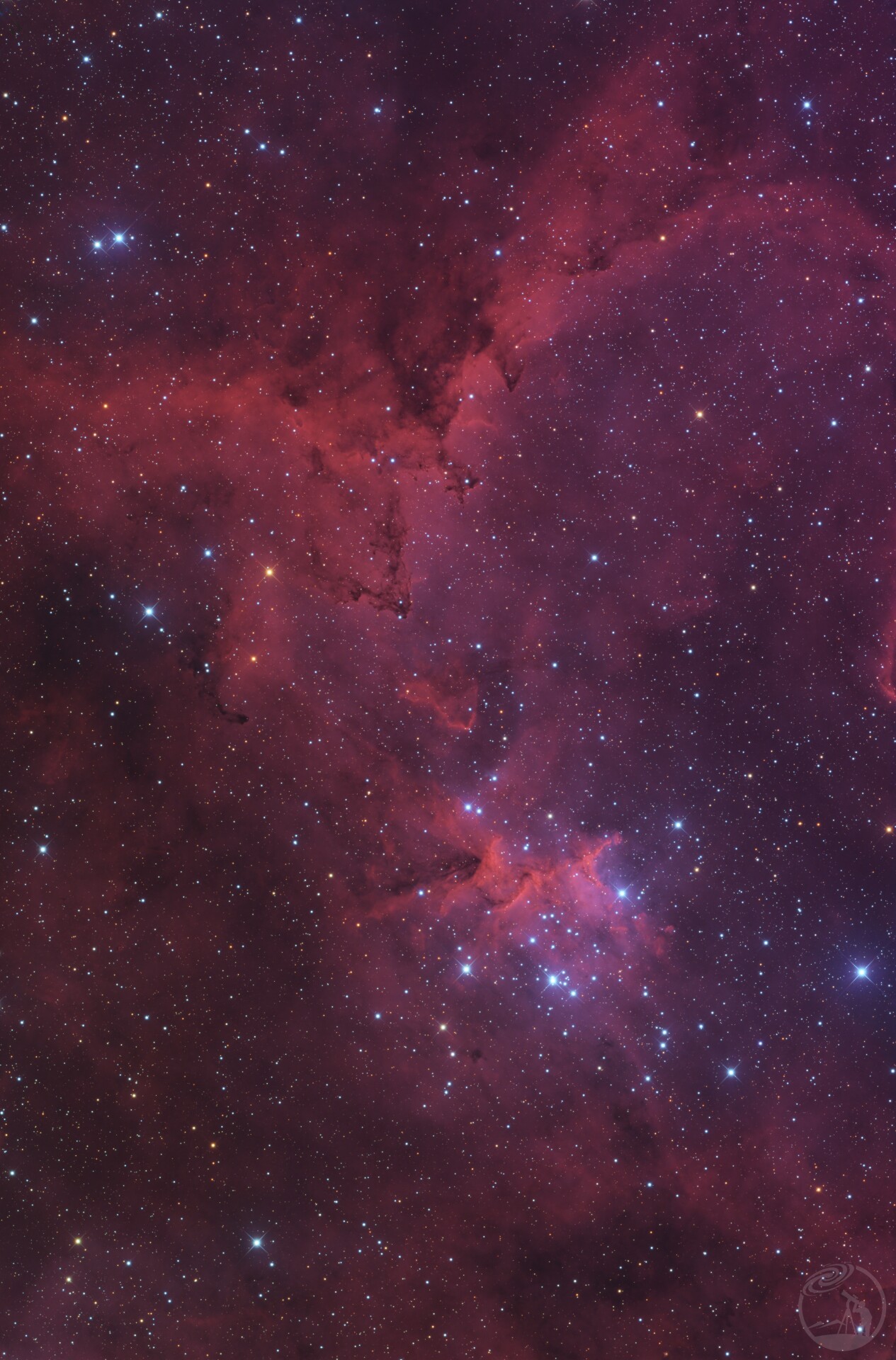 IC1805心脏