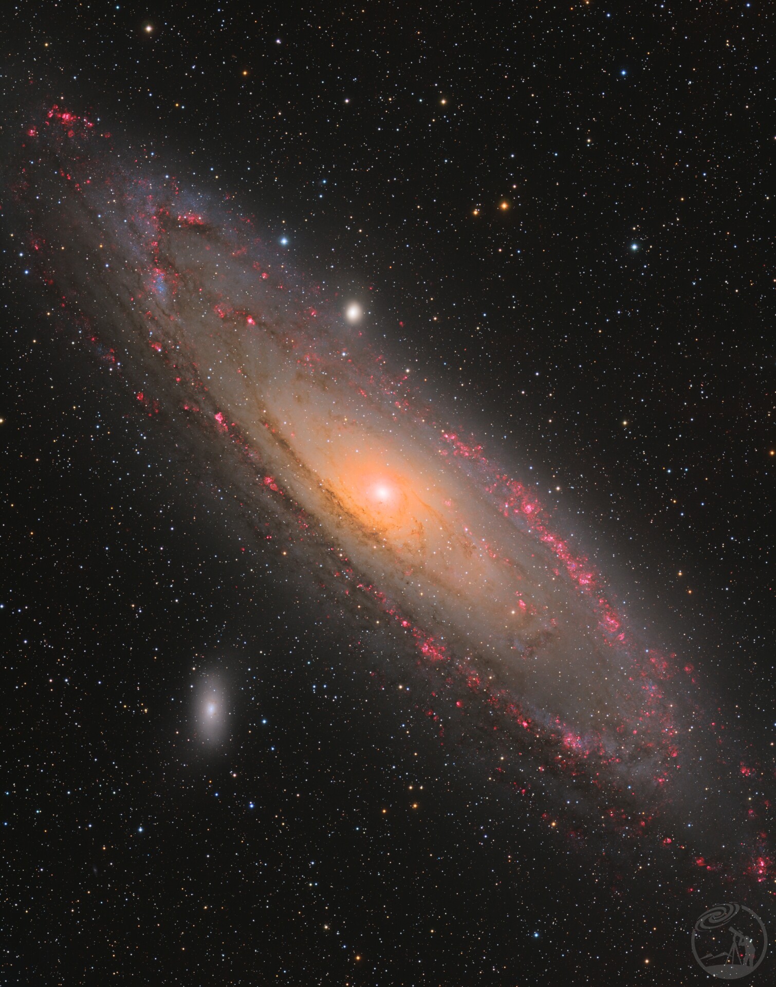 M31