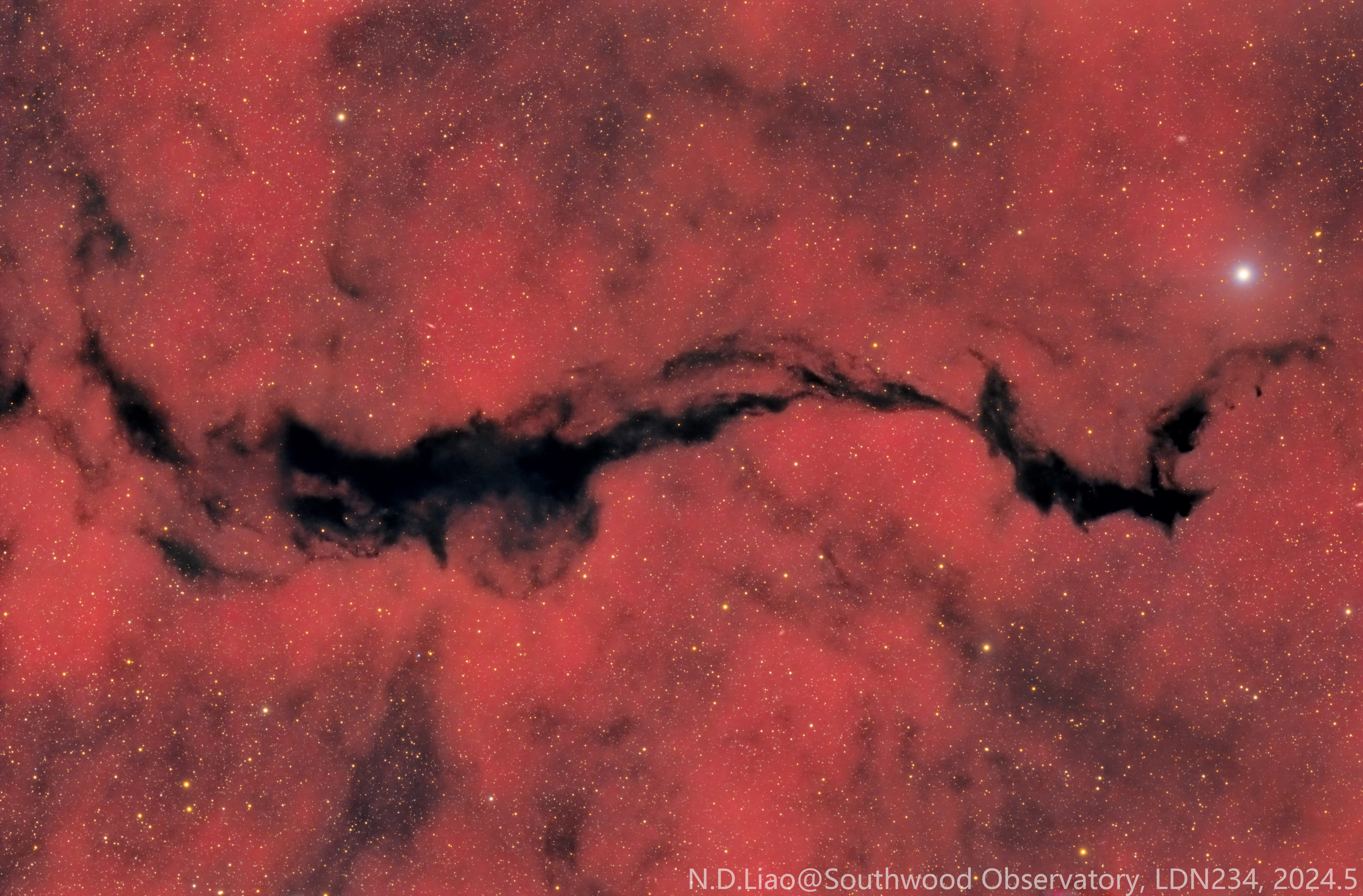 *极品素材*（LDN234），广东第一峰2级区，总曝光16小时