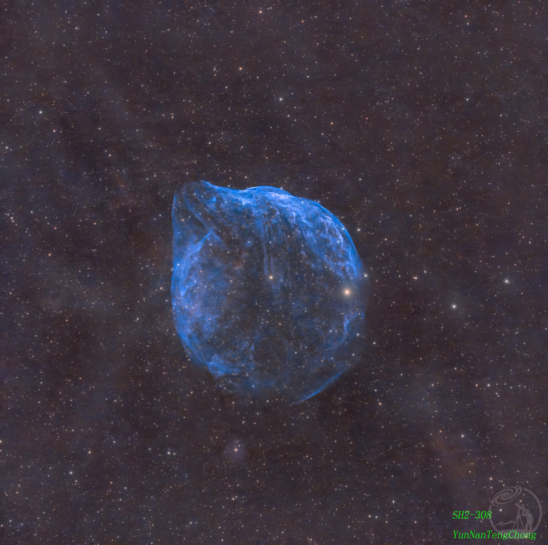 海豚头星云