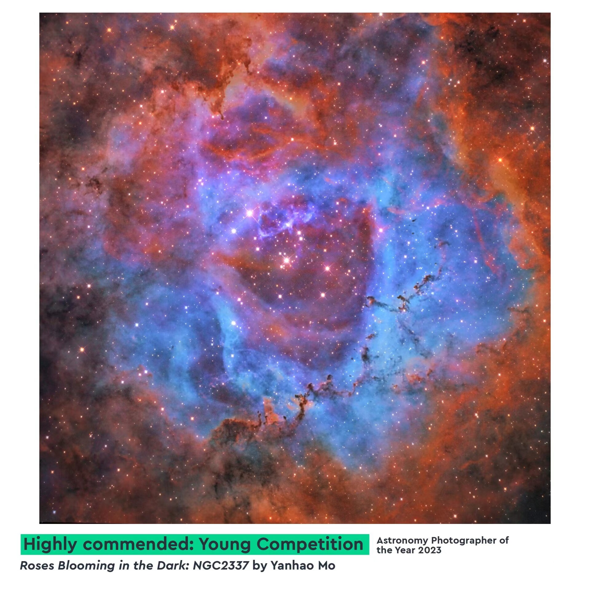 NGC2237玫瑰星云（SHO）