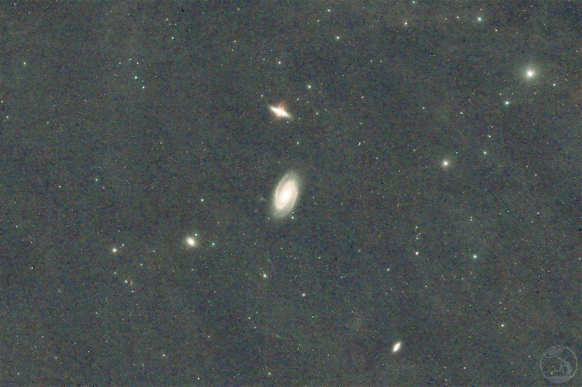 M81