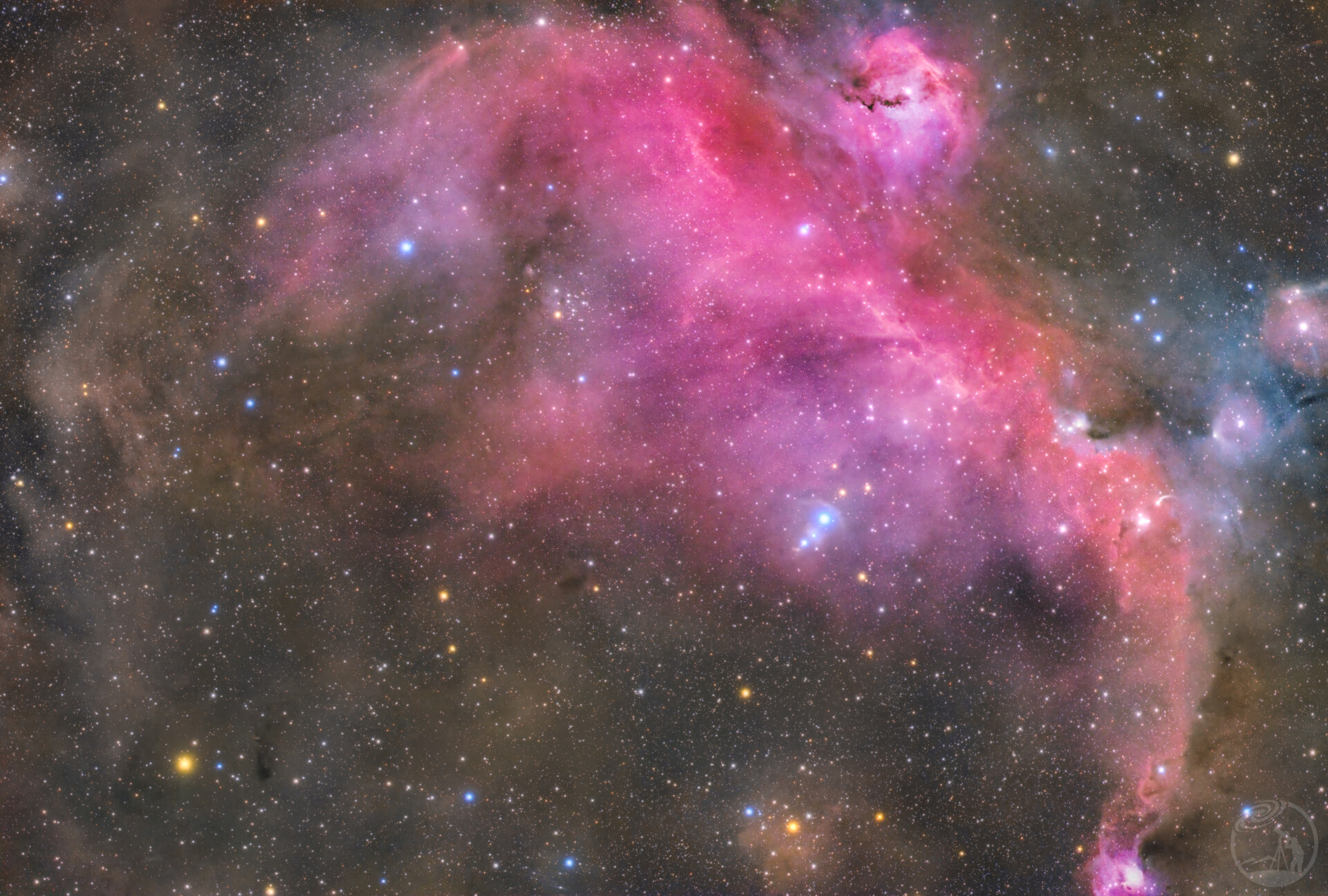 IC2177海鸥