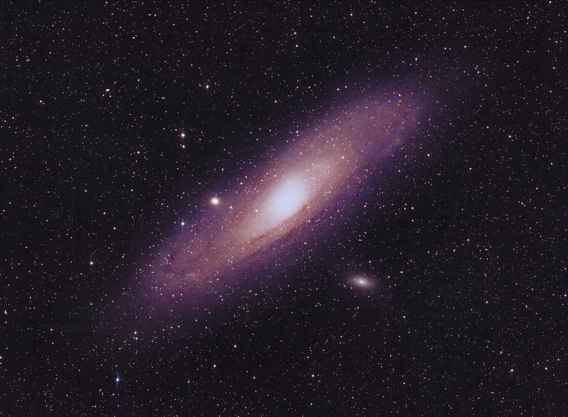 打野m31