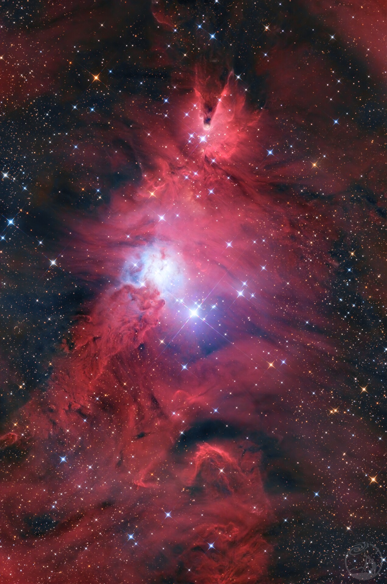 NGC2264