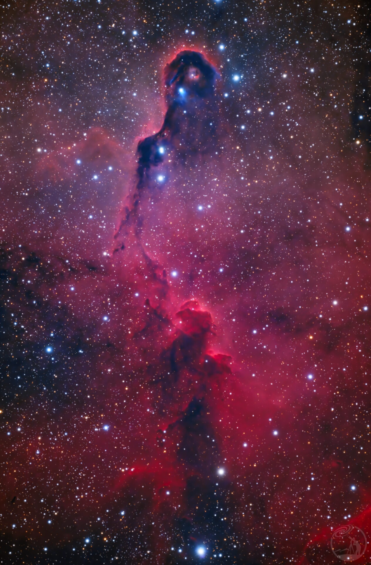 IC1396_C8_VA