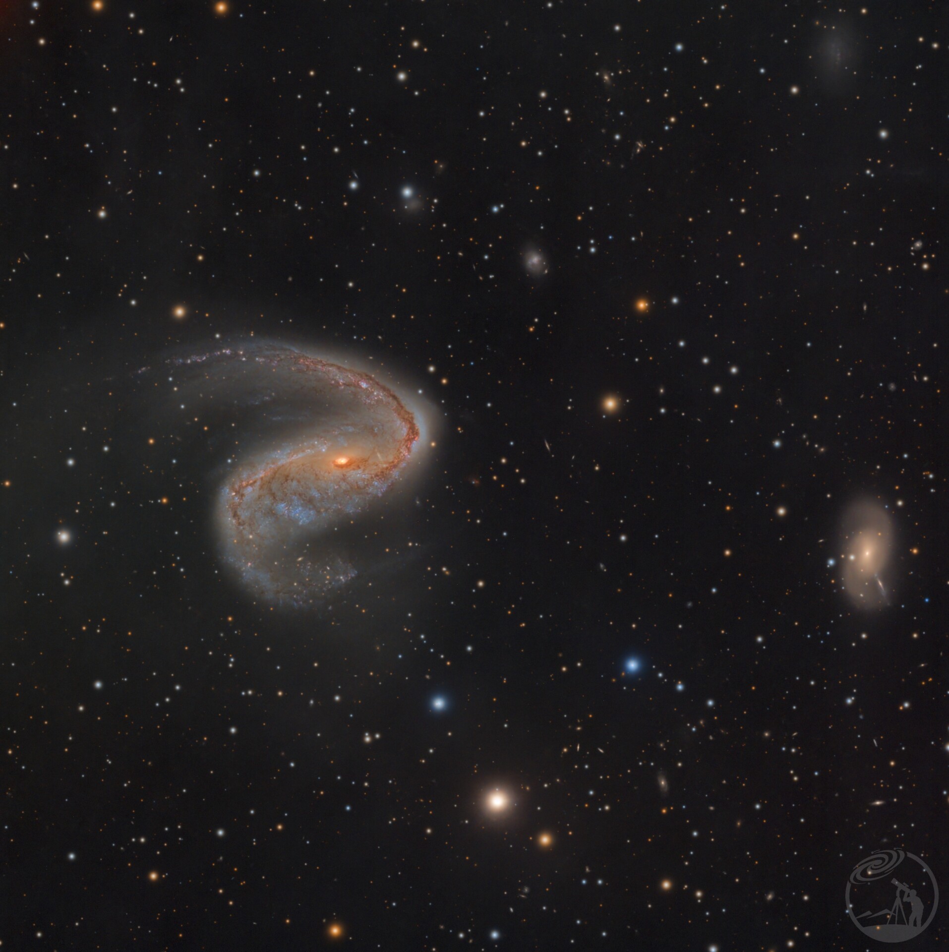 NGC2442-眼镜蛇星系