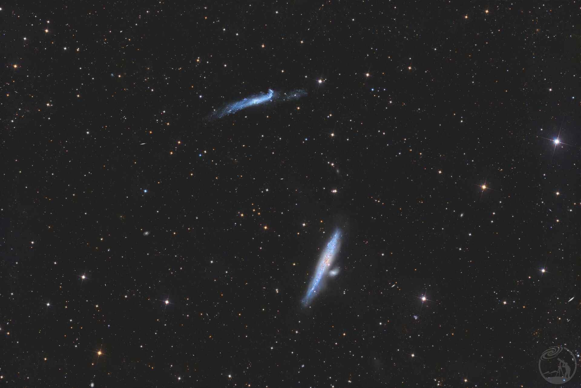 NGC4631鲸鱼星系&NGC 4656曲棍球星系