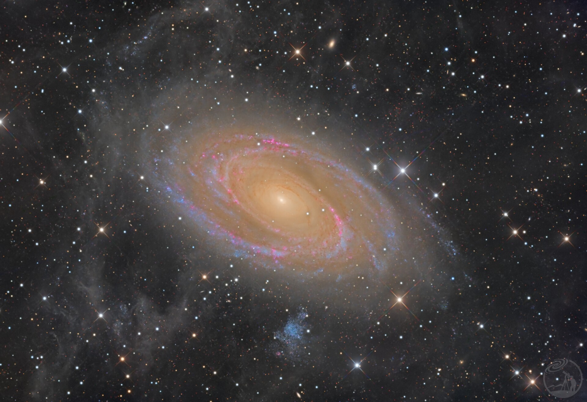 M81