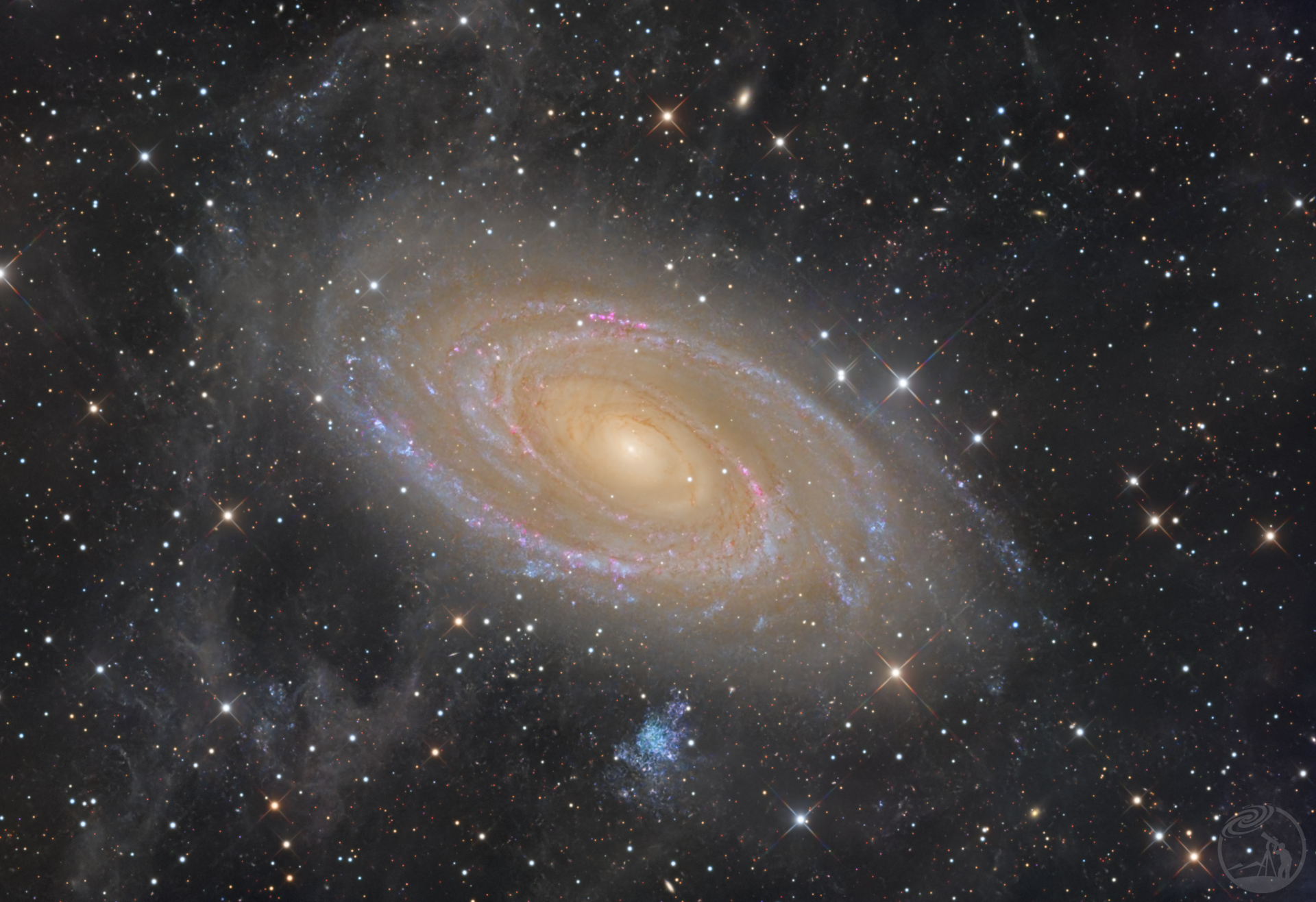 M81