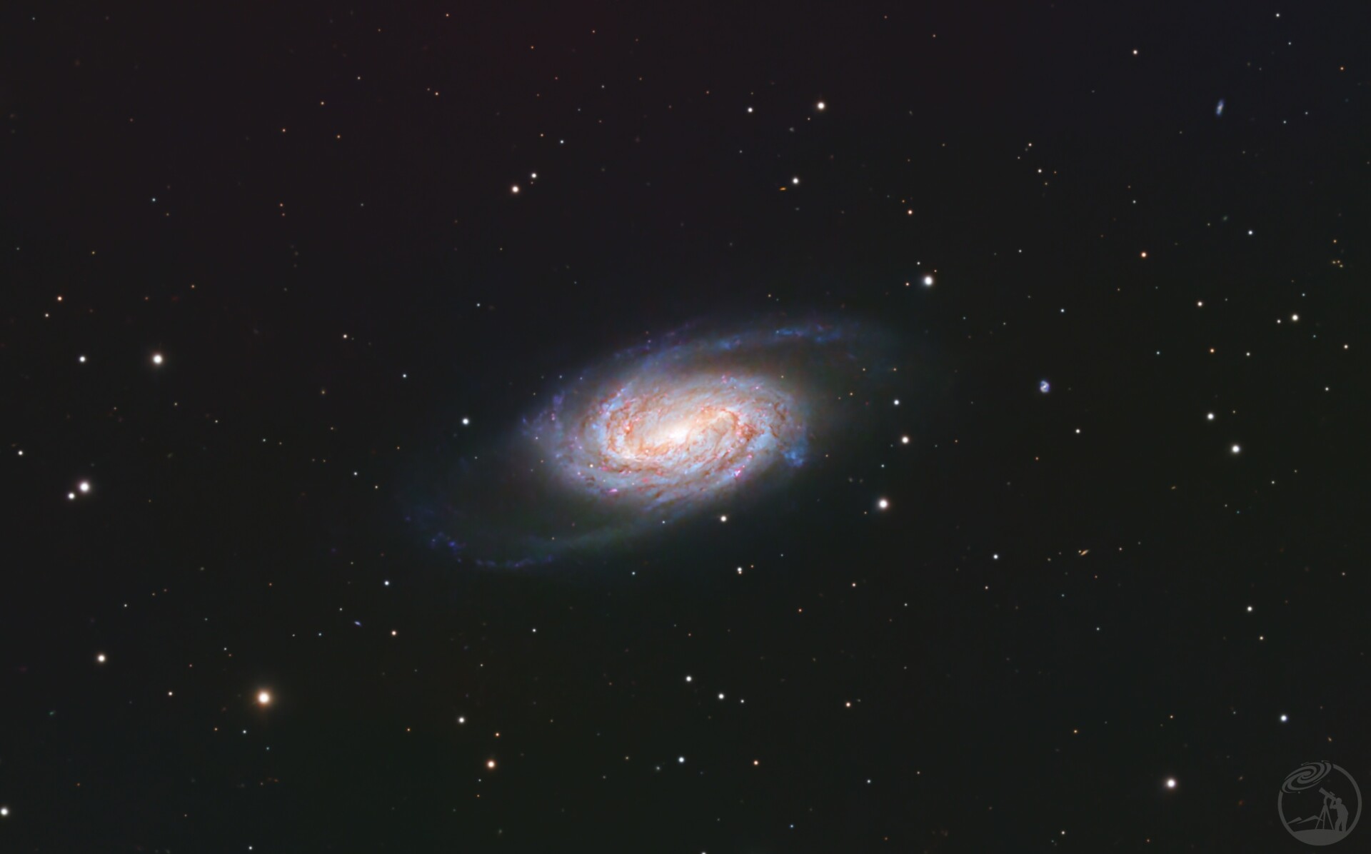 NGC2905