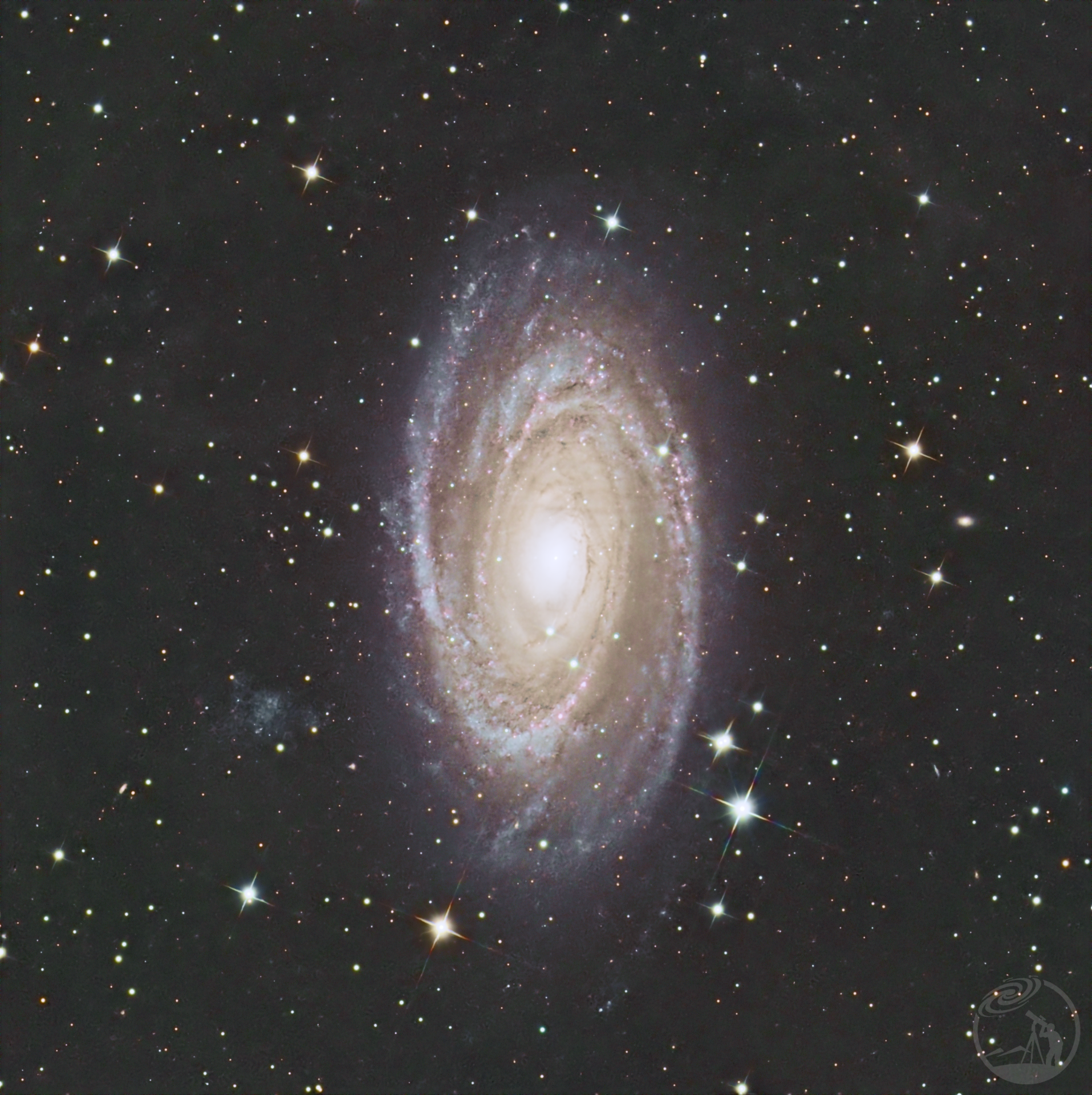 M81
