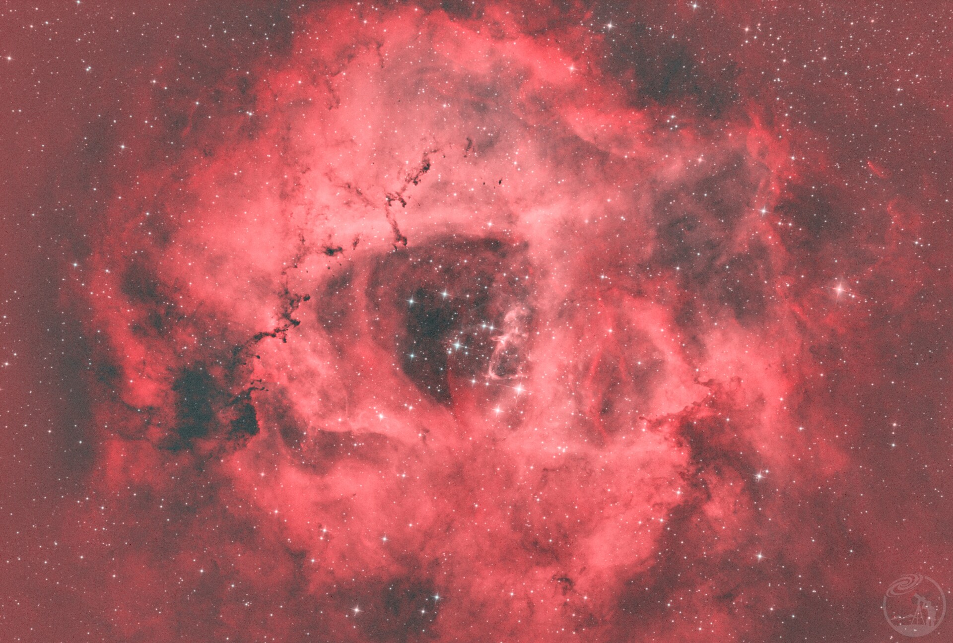 玫瑰星云