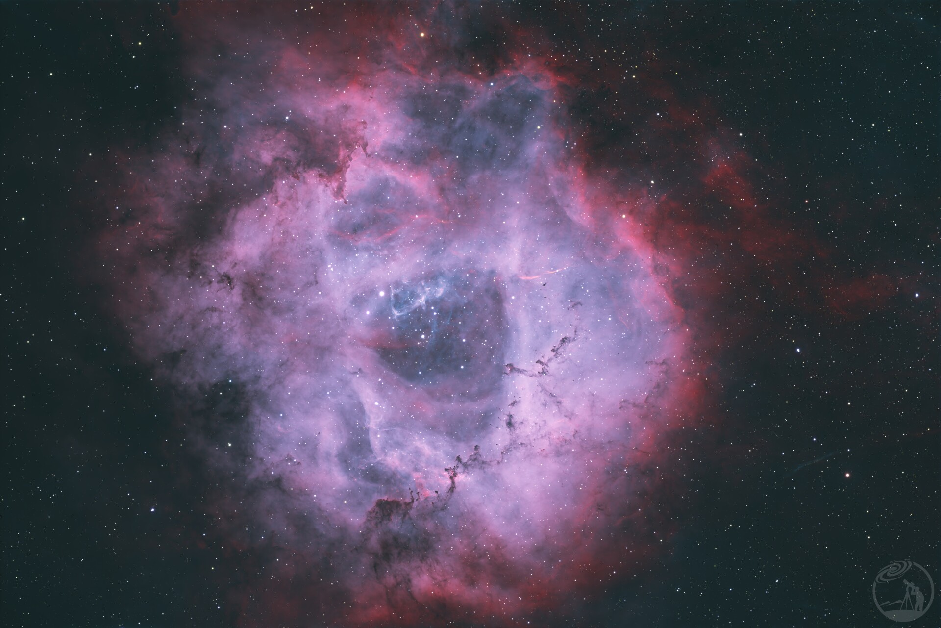 玫瑰星云