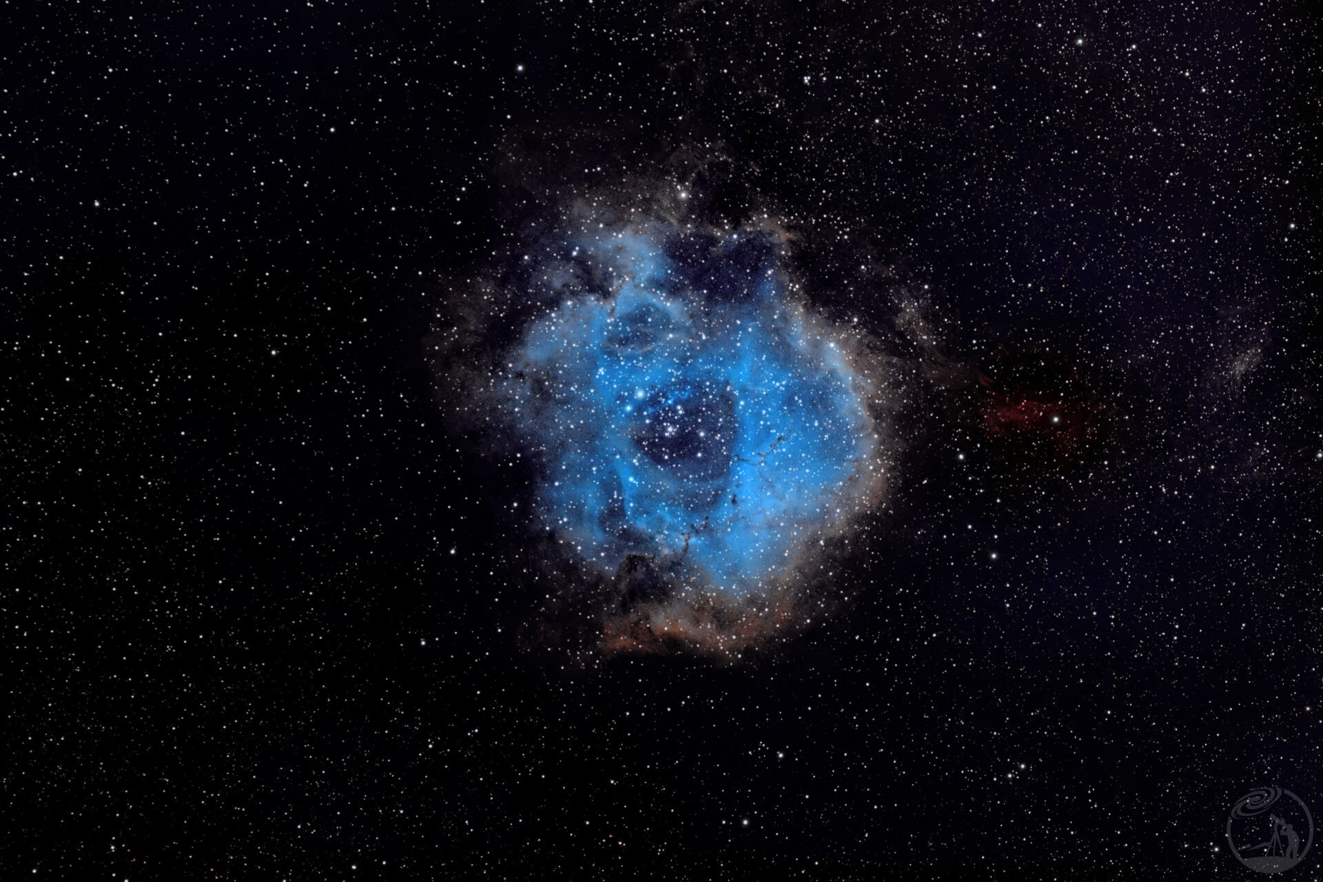 SH2-275 玫瑰