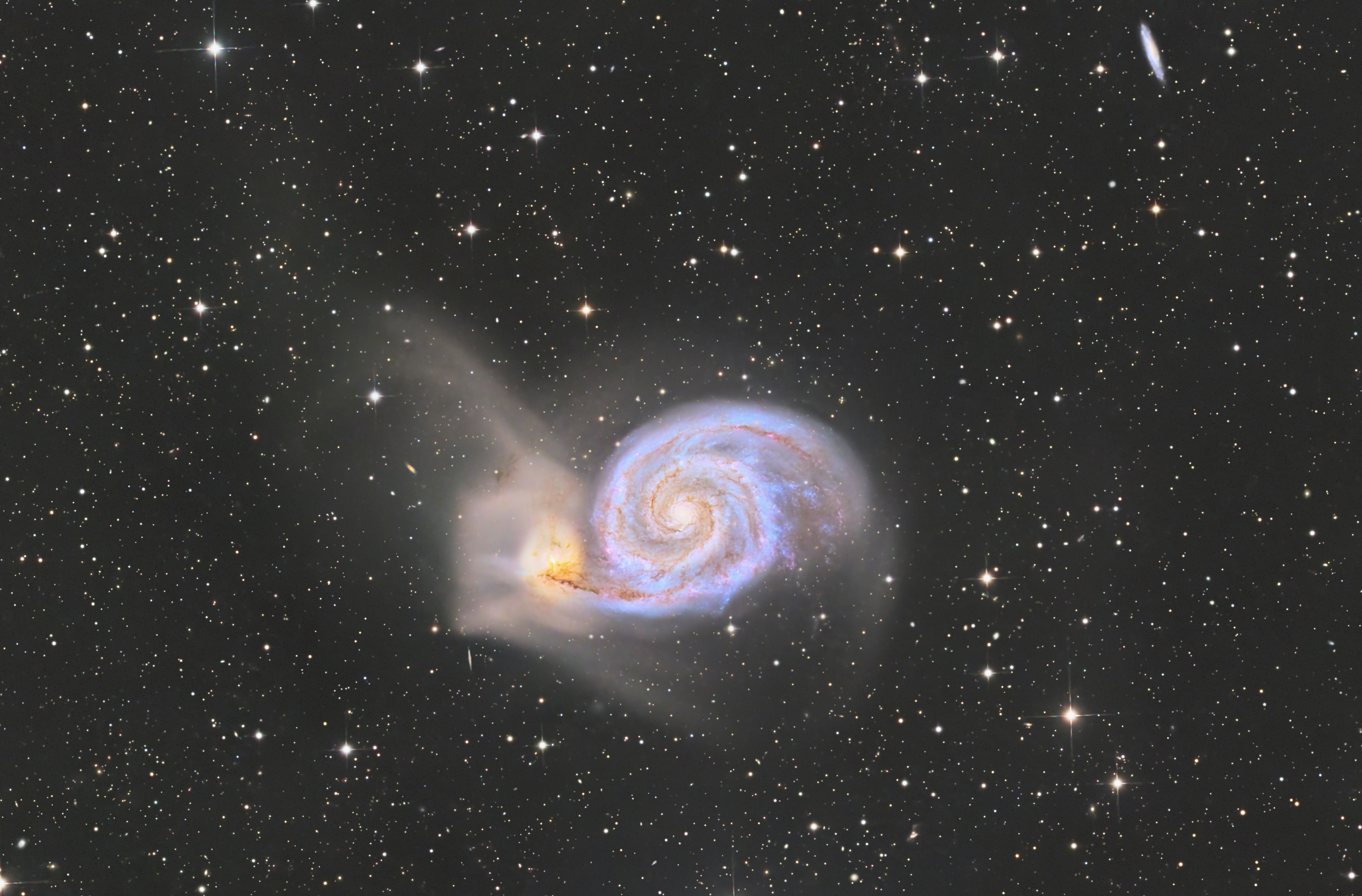 12寸巨黑顶级视宁M51