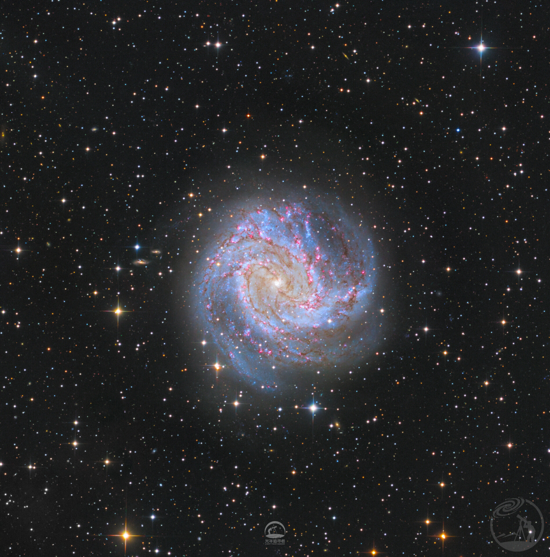 M83