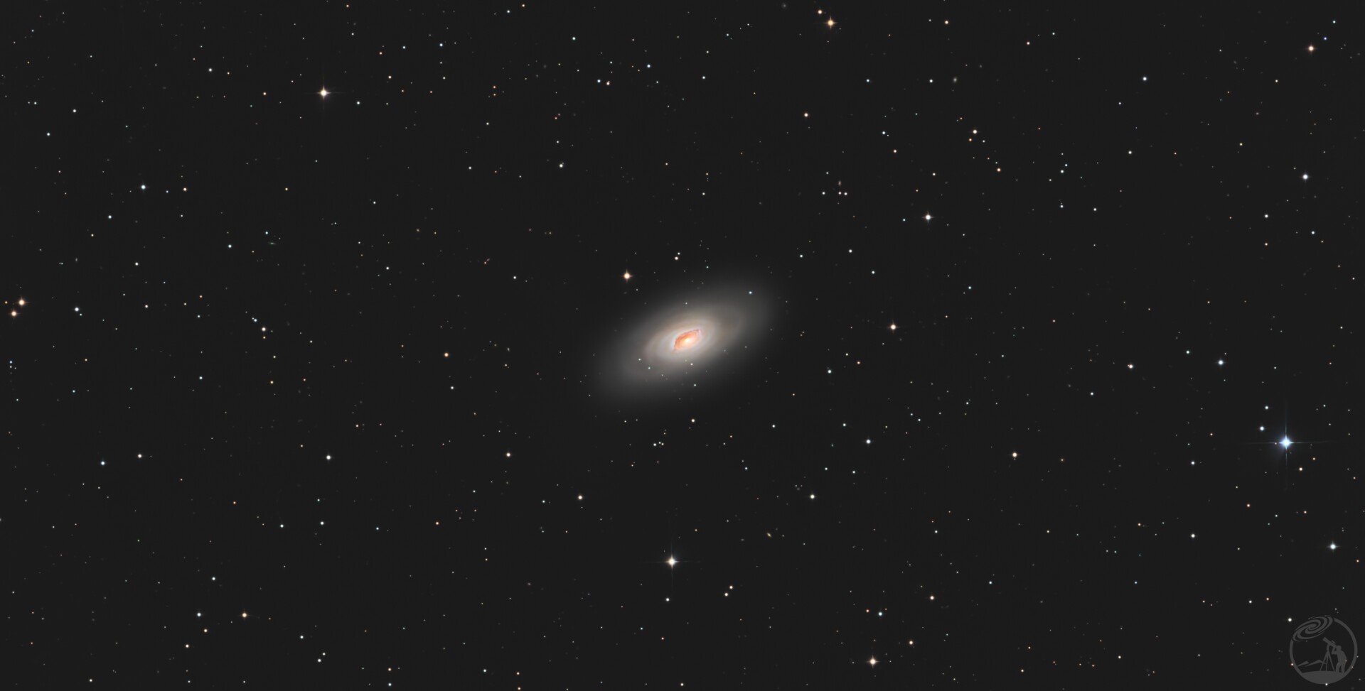 M64