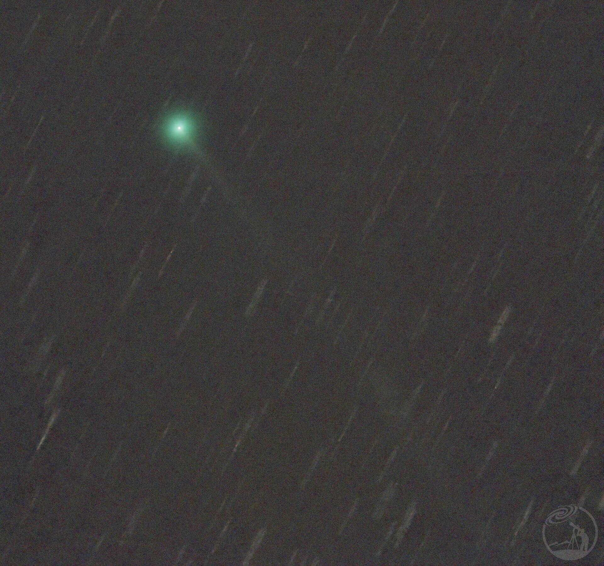 新彗星SWAN25F（4月7日）