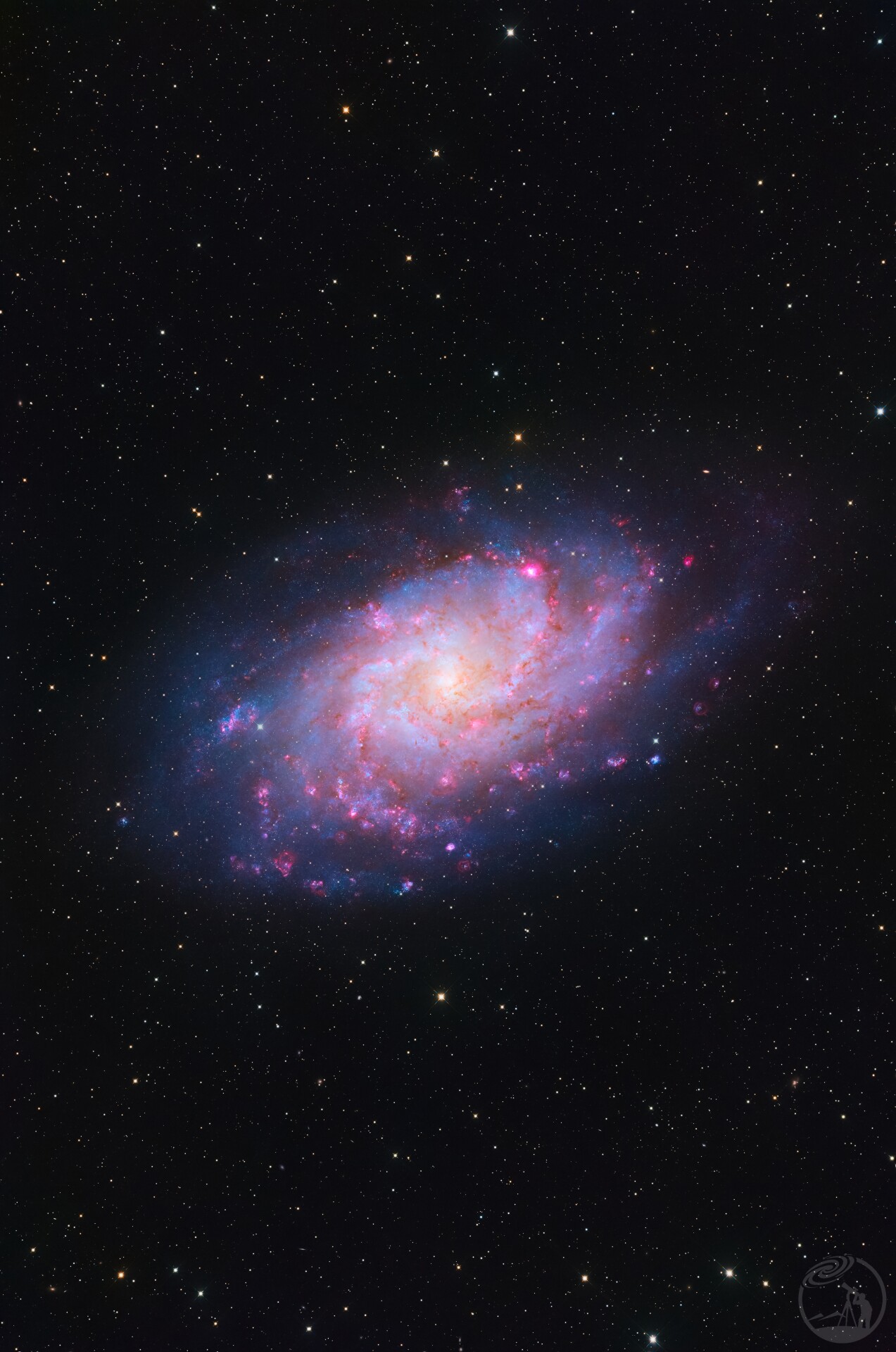 M33