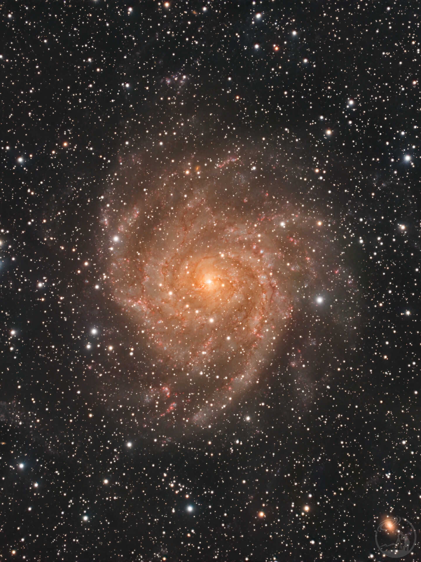 IC342