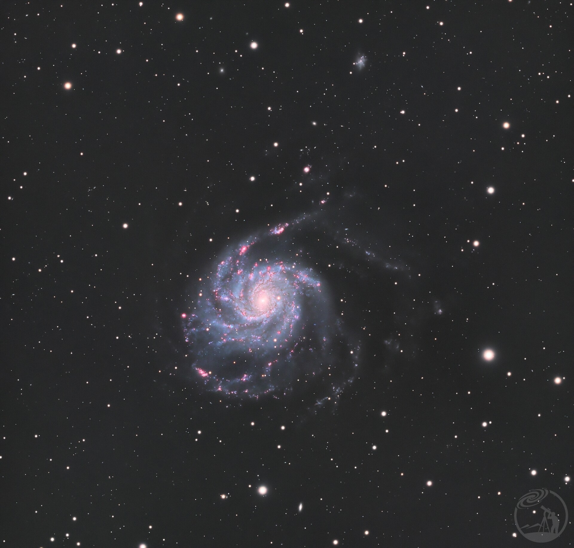 M101 V2（小红花版