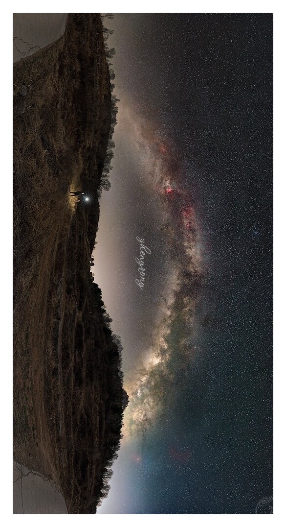 篮子里面观星河