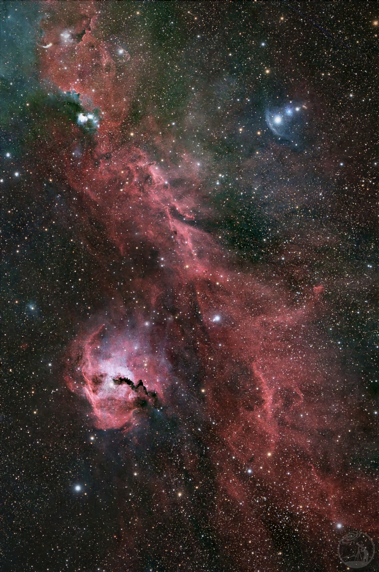 Ic2177