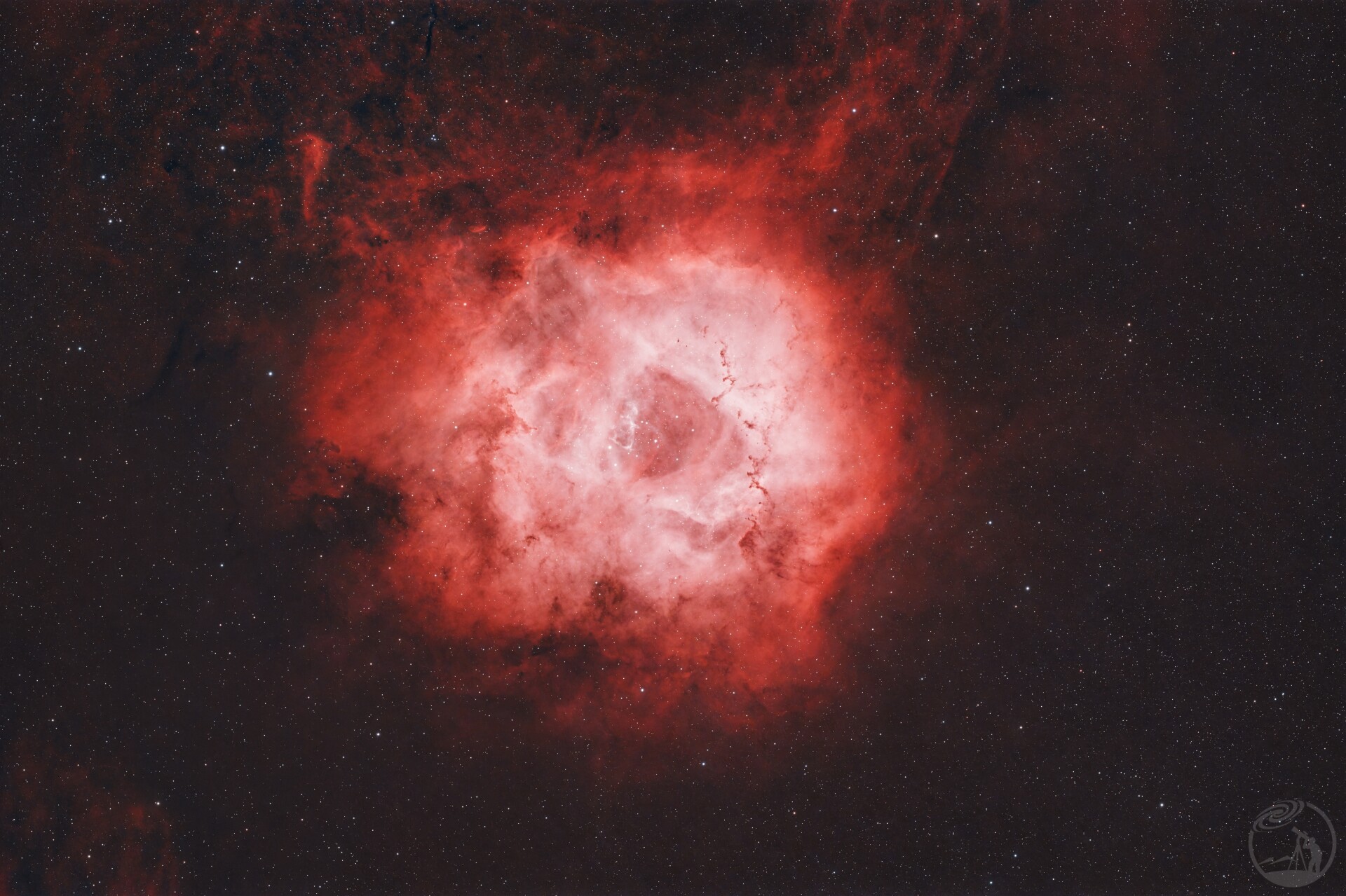 宇宙大玫瑰