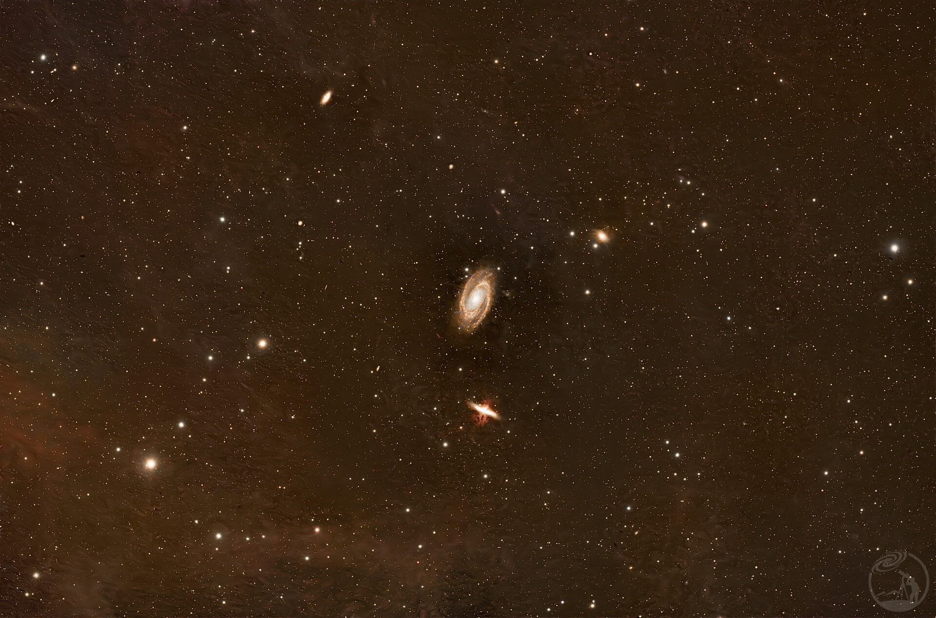 双窄的M81N82