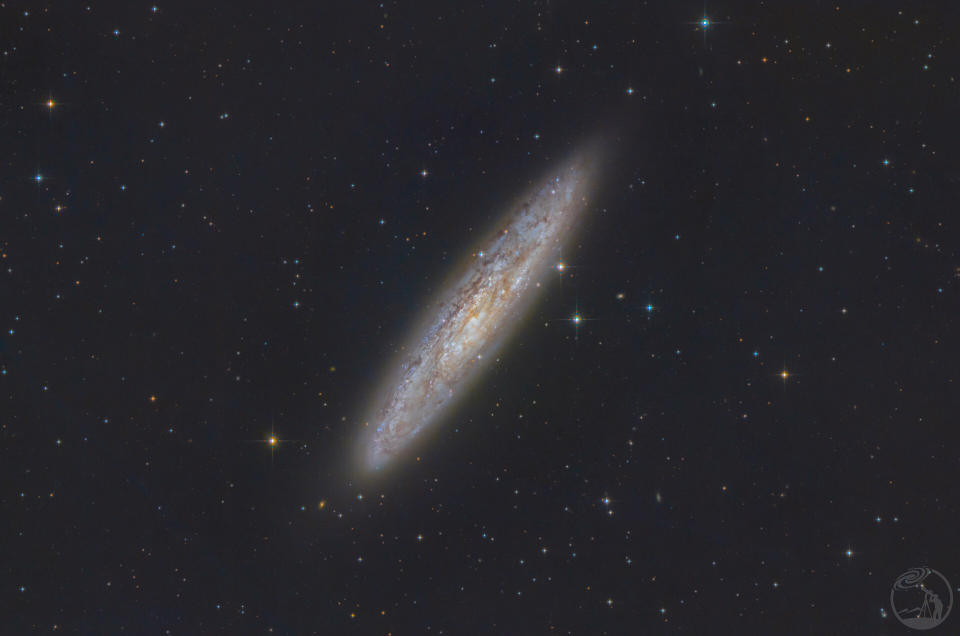 c65 银元星系