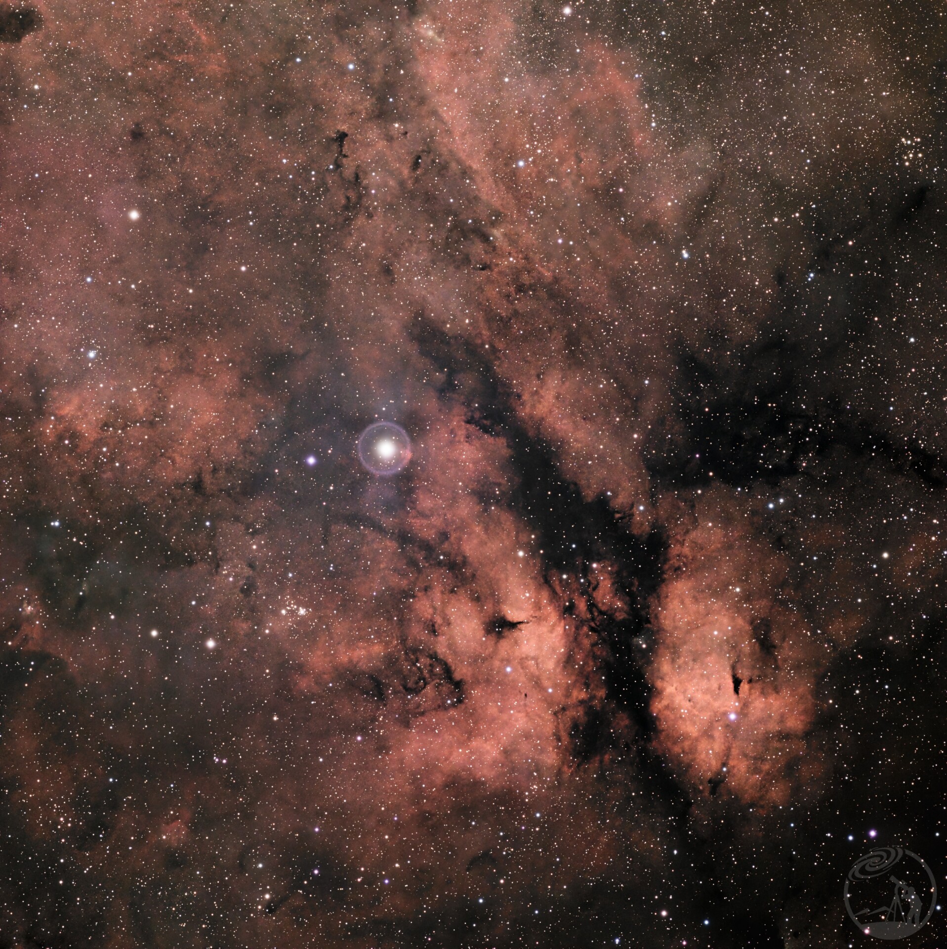 IC1318